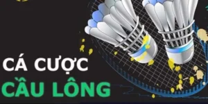 Hướng Dẫn Cách Chơi Cá Cược Cầu Lông Tại DV88 Để Thắng Lớn Hiệu Quả Nhất