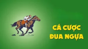 Khám Phá Cá Cược Đua Ngựa DV88 Để Tăng Cơ Hội Thắng Lớn