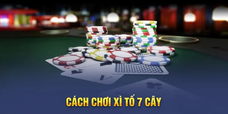 Xì Tố Tại DV88: Tìm Hiểu Trò Chơi Bài Hấp Dẫn Và Cơ Hội Thắng Lớn